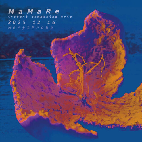 2025 12 16  MaMaRe WerftProbe EBass Flügel