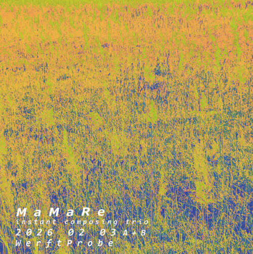 2026 02 03  MaMaRe WerftProbe 