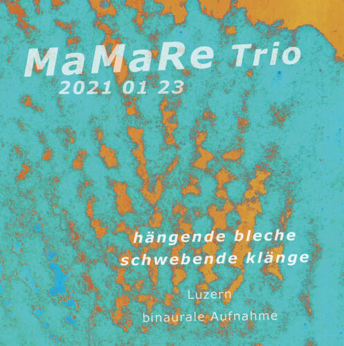 MaMaRe 2021 01 23 Hang-Blech Luzern